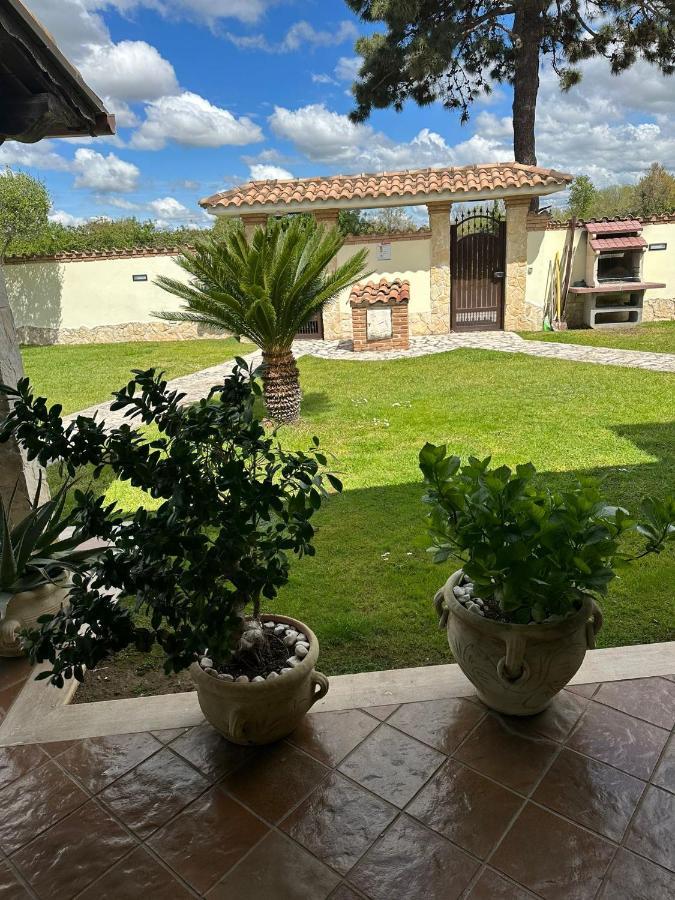 Gold House Luxury Anzio Villa Eksteriør bilde